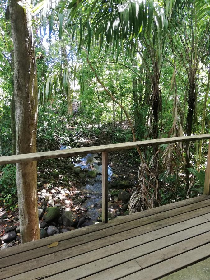 Hospedaje El Bosquecito Uvita Eksteriør billede
